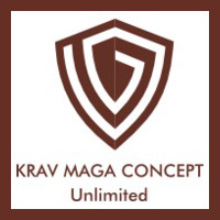 Curso de Krav Maga em módulos