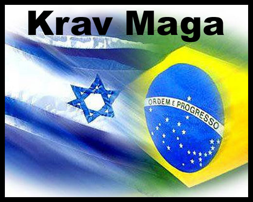 Curso de Krav Maga em módulos